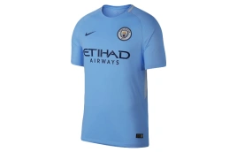 Футболка Nike T Shirt Fan Edition Men's Lake Blue