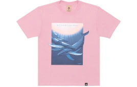 Футболка Nike ACG Drop Shoulder Sleeve T-Shirt Men's Pink